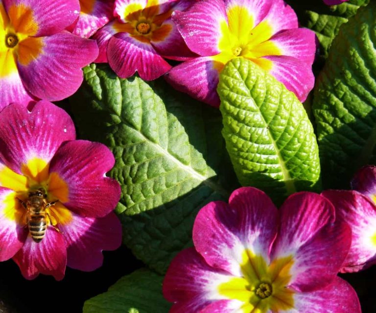 30 Years of Strolling Through Istanbul