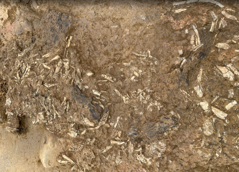 Did you say, Kurgan is in the heart of the city?